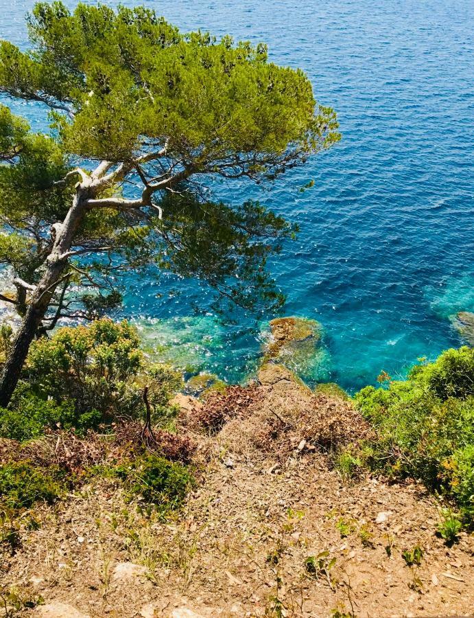 Mazet « Domaine De La Pinede » Apartment Le Lavandou Luaran gambar